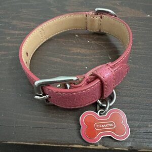 Pink Coach Dog Collar and Leash
